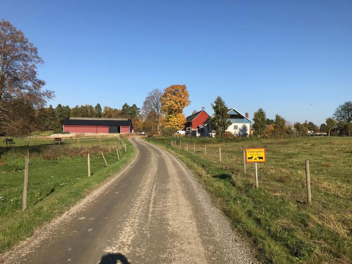 Stegemans Horse Hotel And Country Lodge Ljungby  Extérieur photo