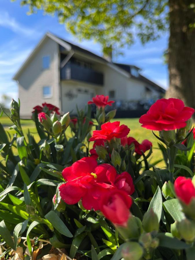 Stegemans Horse Hotel And Country Lodge Ljungby  Extérieur photo